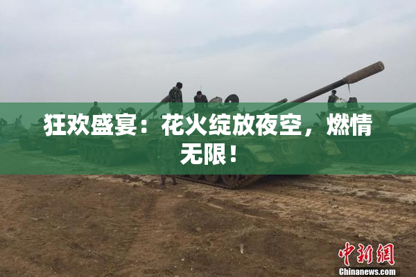 狂欢盛宴：花火绽放夜空，燃情无限！