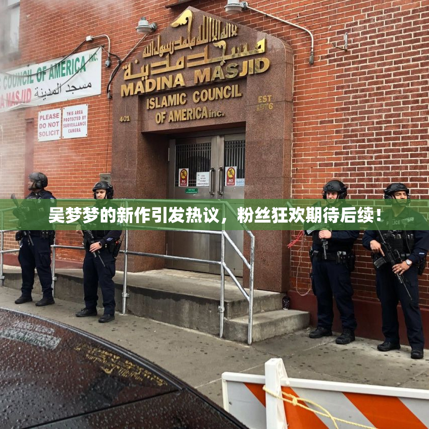 吴梦梦的新作引发热议，粉丝狂欢期待后续！