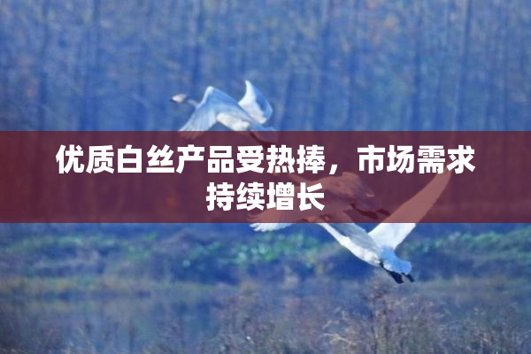 优质白丝产品受热捧，市场需求持续增长