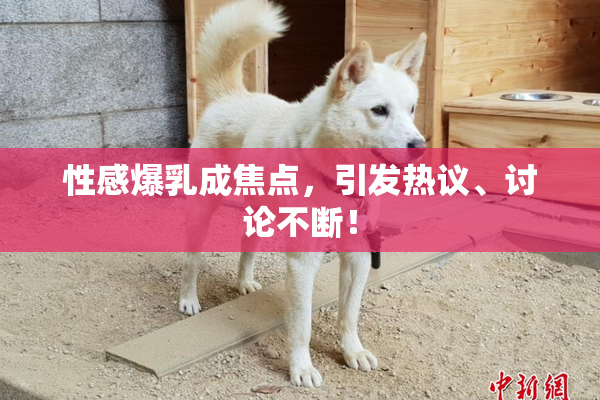 性感爆乳成焦点，引发热议、讨论不断！