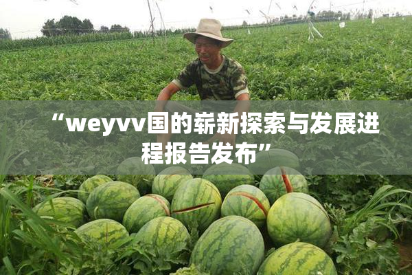 “weyvv国的崭新探索与发展进程报告发布”