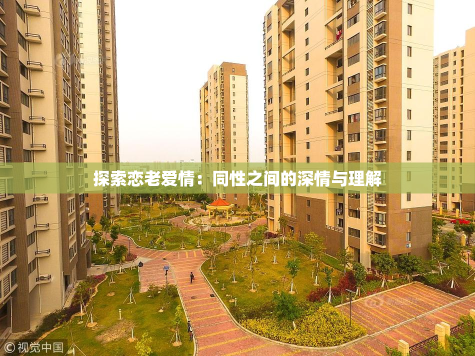 探索恋老爱情：同性之间的深情与理解