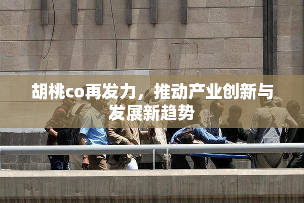 胡桃co再发力，推动产业创新与发展新趋势