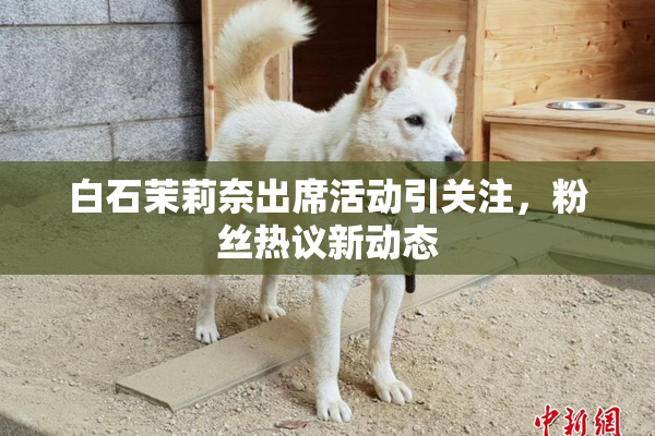白石茉莉奈出席活动引关注，粉丝热议新动态