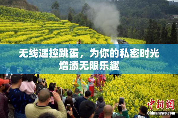 无线遥控跳蛋，为你的私密时光增添无限乐趣