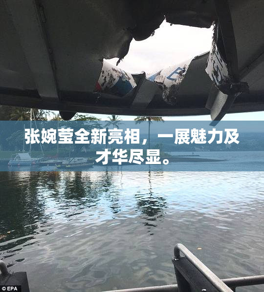 张婉莹全新亮相，一展魅力及才华尽显。