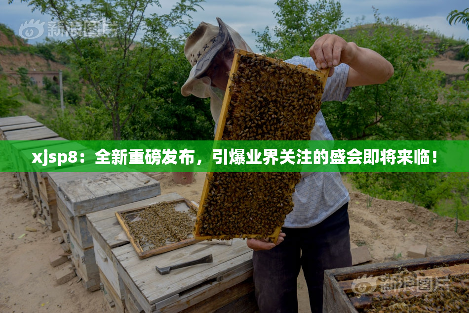 xjsp8：全新重磅发布，引爆业界关注的盛会即将来临！