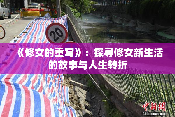 《修女的重写》：探寻修女新生活的故事与人生转折