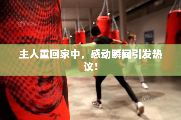 主人重回家中，感动瞬间引发热议！