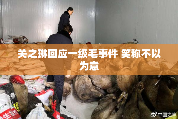 关之琳回应一级毛事件 笑称不以为意