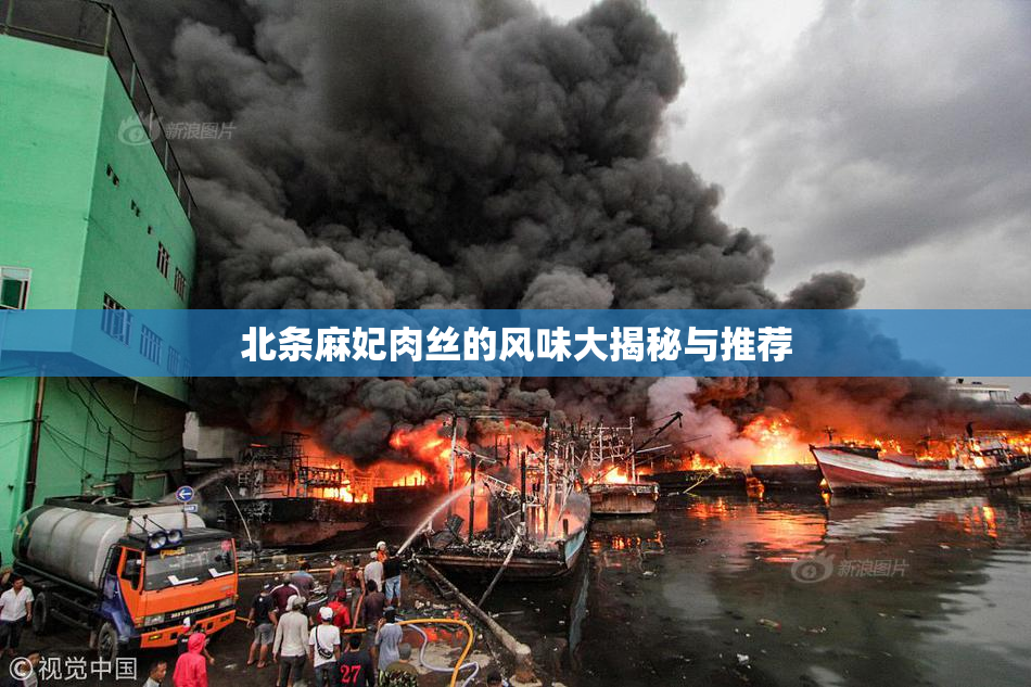 北条麻妃肉丝的风味大揭秘与推荐