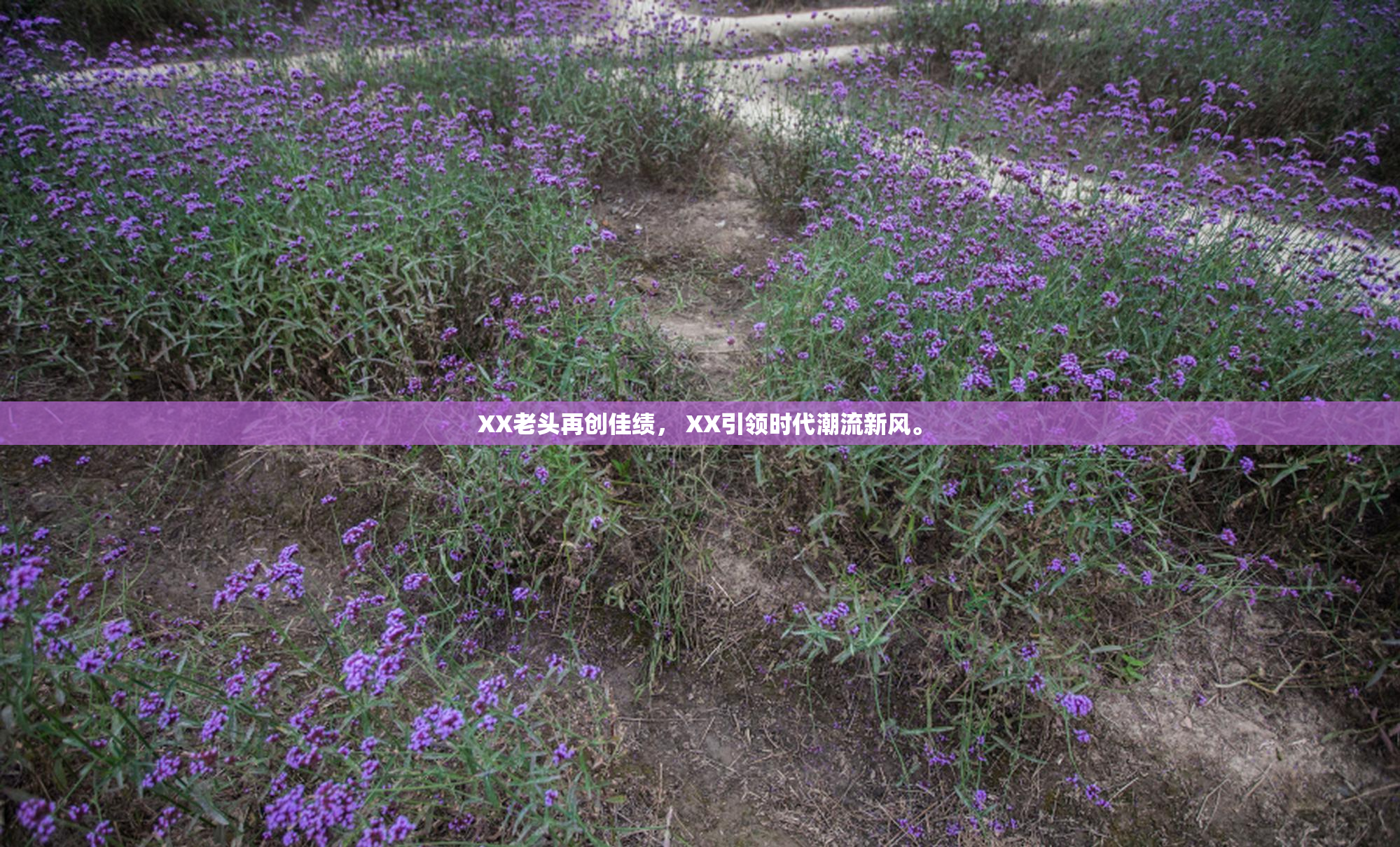 XX老头再创佳绩， XX引领时代潮流新风。