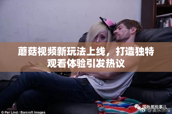蘑菇视频新玩法上线，打造独特观看体验引发热议
