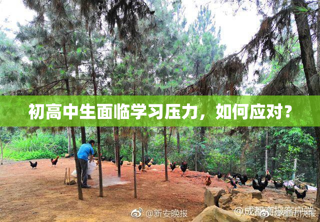 初高中生面临学习压力，如何应对？