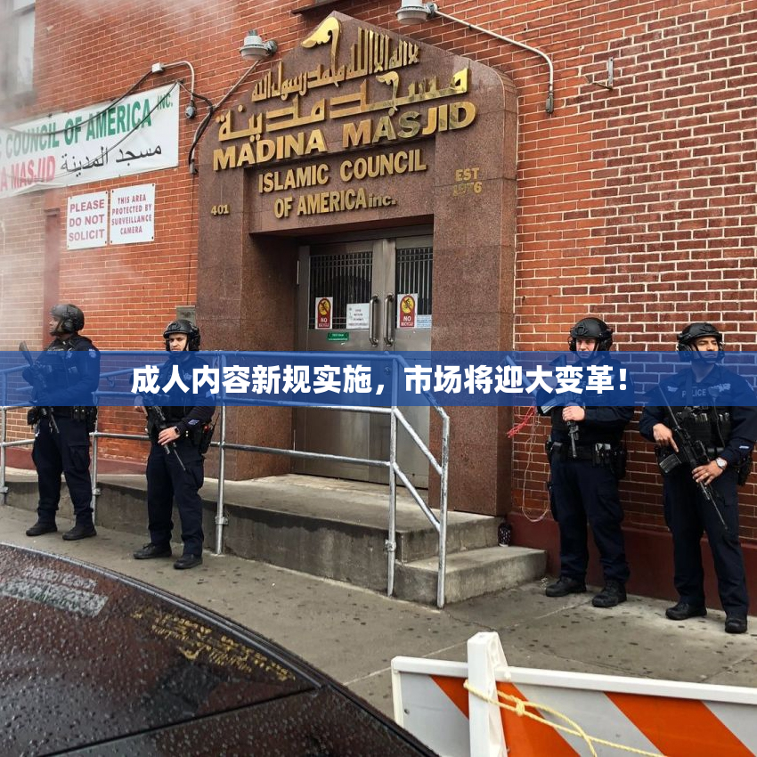 成人内容新规实施，市场将迎大变革！
