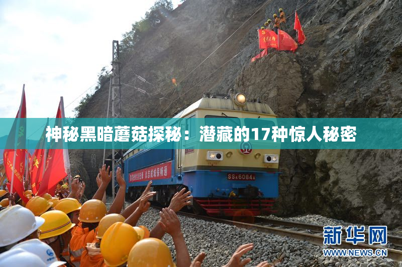 神秘黑暗蘑菇探秘：潜藏的17种惊人秘密