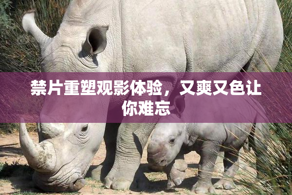 禁片重塑观影体验，又爽又色让你难忘