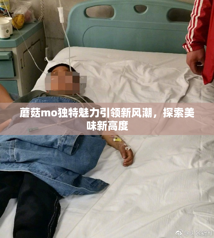 蘑菇mo独特魅力引领新风潮，探索美味新高度