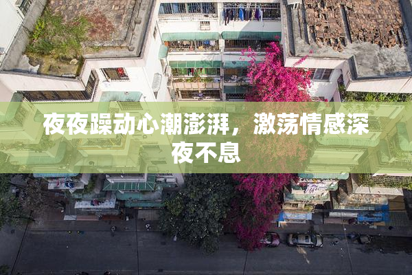 夜夜躁动心潮澎湃，激荡情感深夜不息