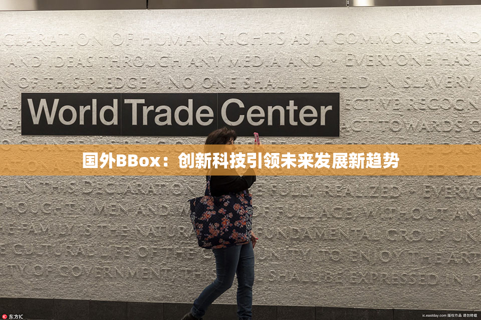 国外BBox：创新科技引领未来发展新趋势