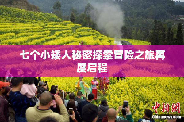 七个小矮人秘密探索冒险之旅再度启程