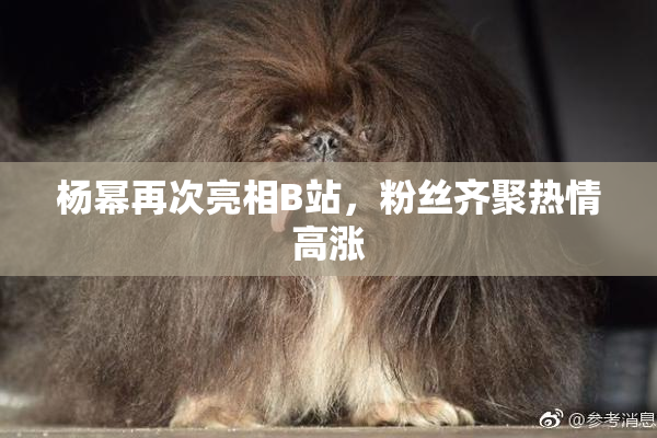 杨幂再次亮相B站，粉丝齐聚热情高涨