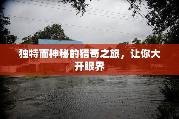 独特而神秘的猎奇之旅，让你大开眼界