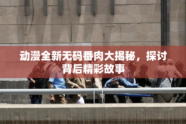动漫全新无码番肉大揭秘，探讨背后精彩故事