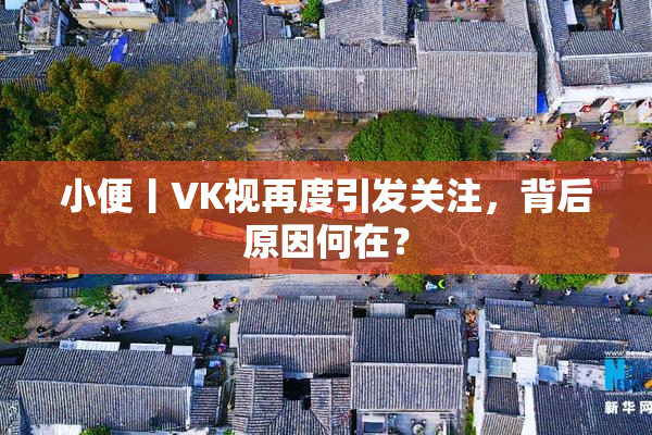 小便丨VK视再度引发关注，背后原因何在？