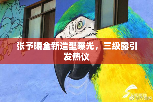 张予曦全新造型曝光，三级露引发热议