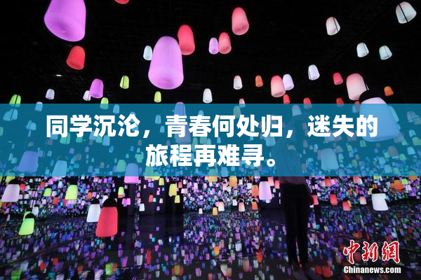 同学沉沦，青春何处归，迷失的旅程再难寻。
