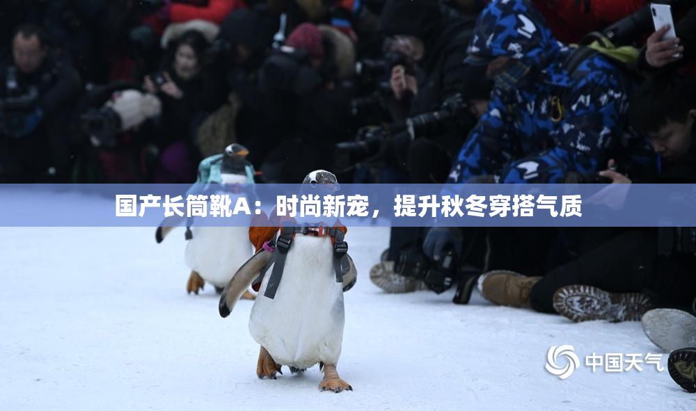 国产长筒靴A：时尚新宠，提升秋冬穿搭气质