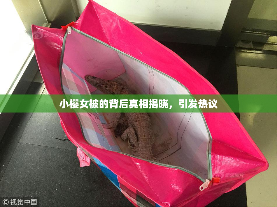 小樱女被的背后真相揭晓，引发热议
