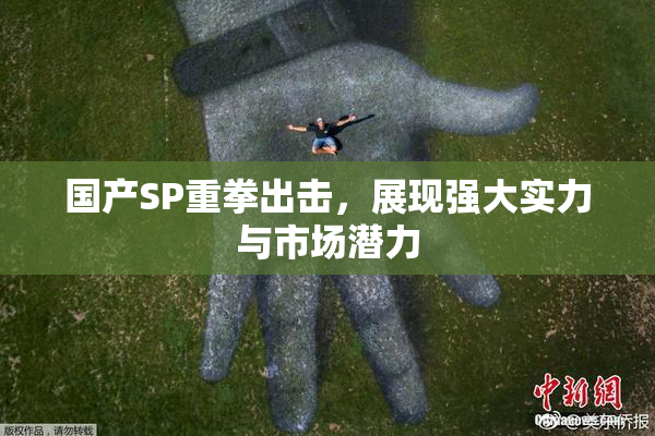 国产SP重拳出击，展现强大实力与市场潜力