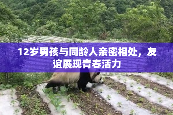 12岁男孩与同龄人亲密相处，友谊展现青春活力