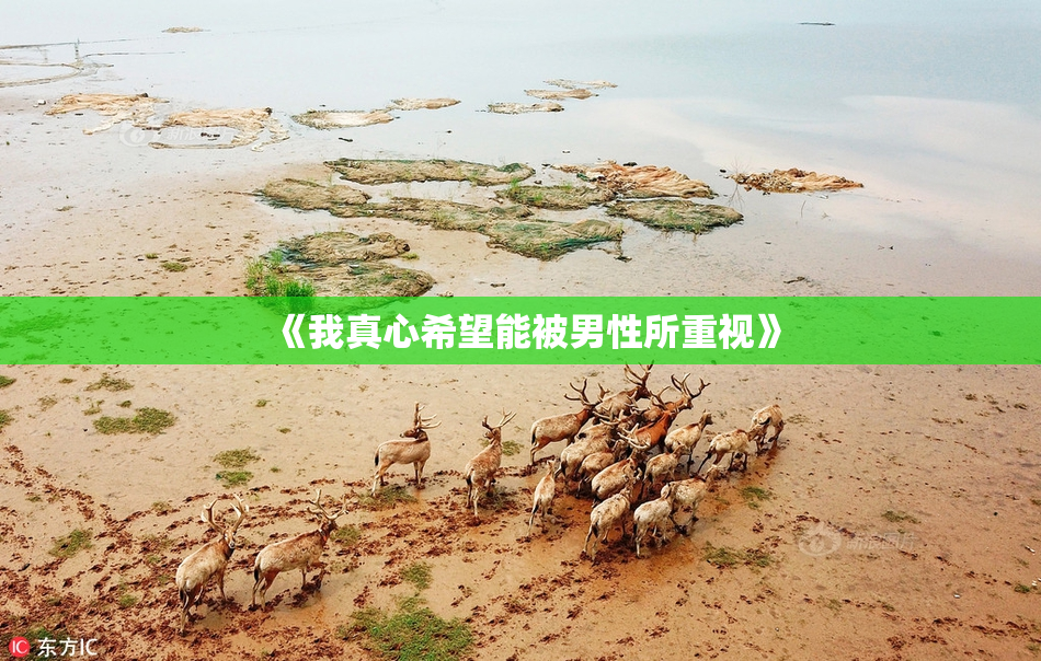 《我真心希望能被男性所重视》
