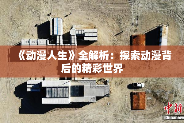《动漫人生》全解析：探索动漫背后的精彩世界