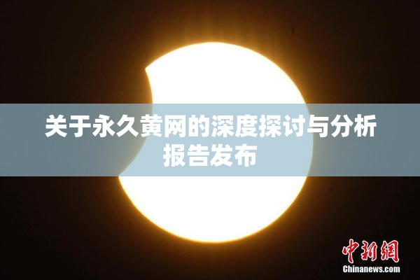 关于永久黄网的深度探讨与分析报告发布