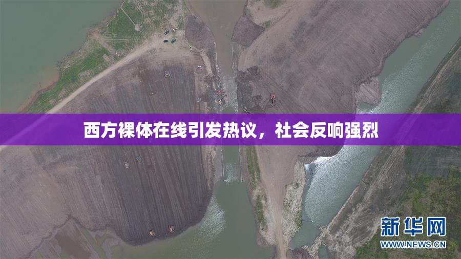 西方裸体在线引发热议，社会反响强烈