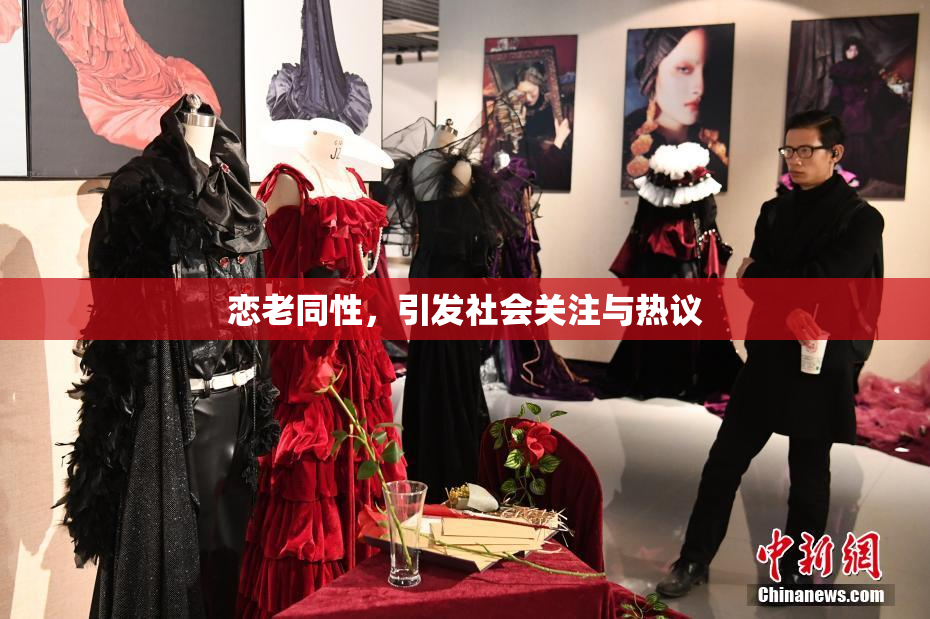 恋老同性，引发社会关注与热议