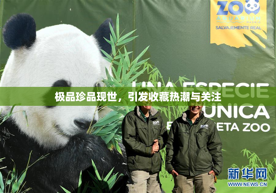 极品珍品现世，引发收藏热潮与关注