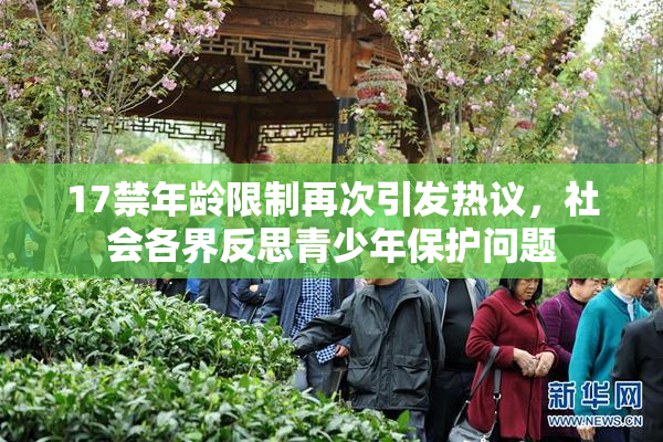 17禁年龄限制再次引发热议，社会各界反思青少年保护问题