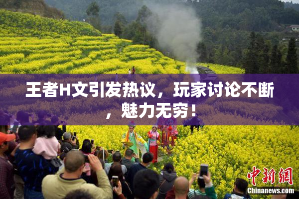 王者H文引发热议，玩家讨论不断，魅力无穷！