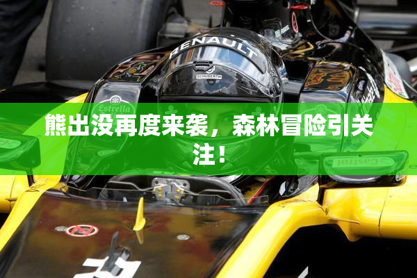 熊出没再度来袭，森林冒险引关注！