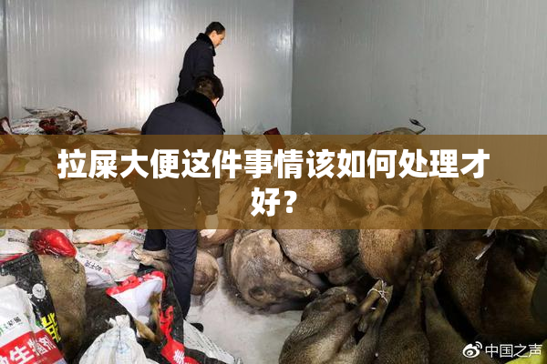 拉屎大便这件事情该如何处理才好？