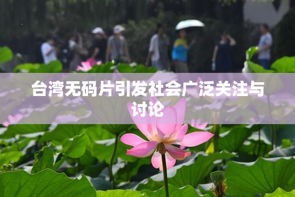 台湾无码片引发社会广泛关注与讨论