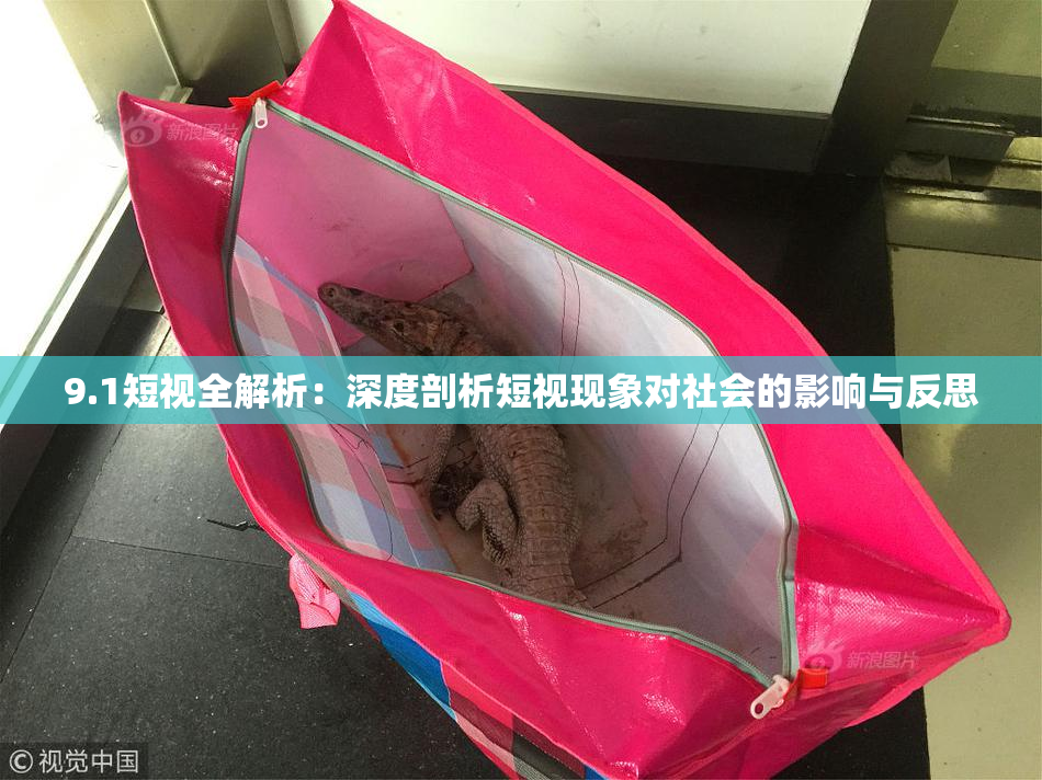 9.1短视全解析：深度剖析短视现象对社会的影响与反思