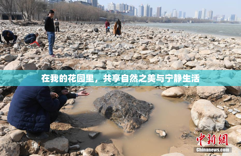 在我的花园里，共享自然之美与宁静生活