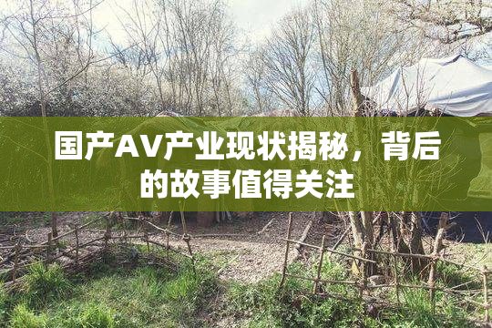 国产AV产业现状揭秘，背后的故事值得关注