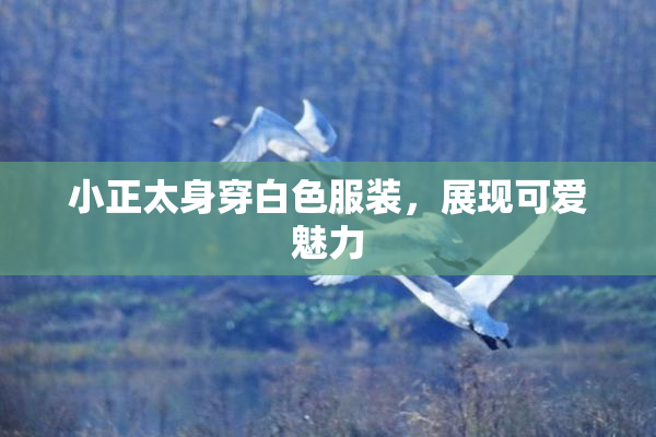 小正太身穿白色服装，展现可爱魅力